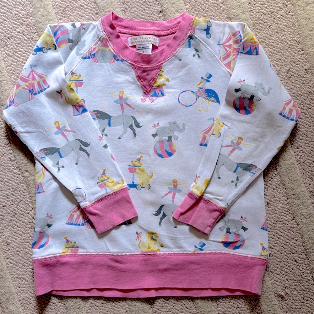 TBBC Cassidy Comfy Crewneck - circus